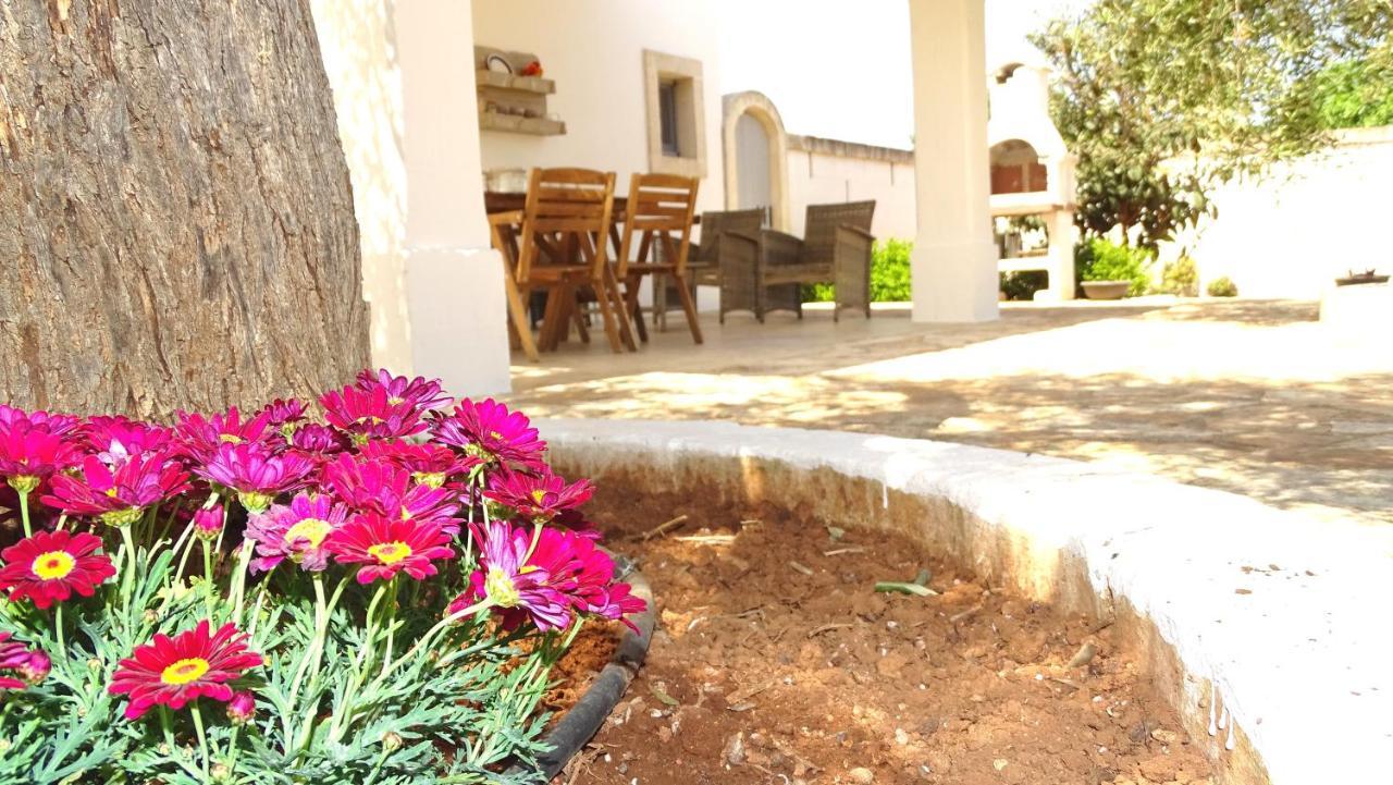 Le Fogge Guest House Fasano Exterior photo